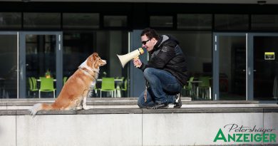 Mein Hund hört ganz hervorragend, er tut nur nicht, was ich sage Mein Hund hört ganz hervorragend, er tut nur nicht, was ich sage