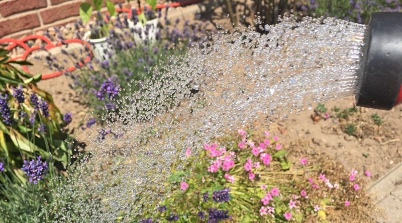 Wasserknappheit in Petershagen – Bevölkerung muss extrem sparsam mit Trinkwasser umgehen Wasserknappheit in Petershagen – Bevölkerung muss extrem sparsam mit Trinkwasser umgehen