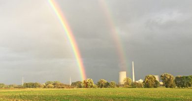 Rückblick auf ein weiteres „verrücktes“ Wetterjahr Rückblick auf ein weiteres „verrücktes“ Wetterjahr