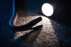 Symbolfoto: Christian Schwier/stock.adobe.com