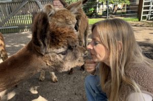 Ein Alpaka-Küsschen für Shari Buschmann. Foto: Jessica Höffner