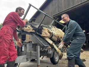 Landwirt Stefan Plate (links) und Tierarzt Christoph Harms sind ein eingespieltes Team. Foto: Jessica Höffner