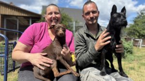 Ines und Daniel (Mitarbeiter des Tierheimes in Schessinghausen) mit den beiden Rüden Knecht Ruprecht (links) und Barti, die ein Zuhause suchen. Foto: Jessica Höffner