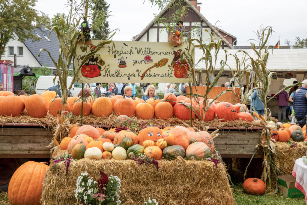 In Meßlingen steht der 13. Kürbismarkt auf dem Programm. Foto: ms