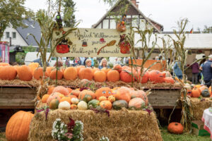 In Meßlingen steht der 13. Kürbismarkt auf dem Programm. Foto: ms
