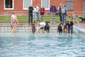 Für die einen eine willkommene Abkühlung, für die anderen eine große Überwindung - beim Hundeschwimmen wurde auch trainiert.   Foto: kri