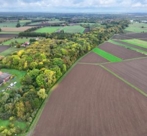 Blick von Bad Hopfenberg in Richtung Norden (Ovenstädt). Der Weg am Fuß der Waldfläche markiert den westlichen Rand des eiszeitlichen Wesertales (rechts im Bild). Foto: Dr. Dietmar Meier