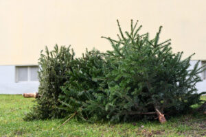 Symbolfoto: leopictures/stock.adobe.com