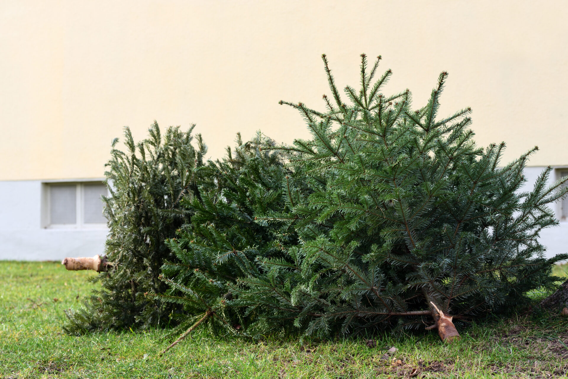 Symbolfoto: leopictures/stock.adobe.com