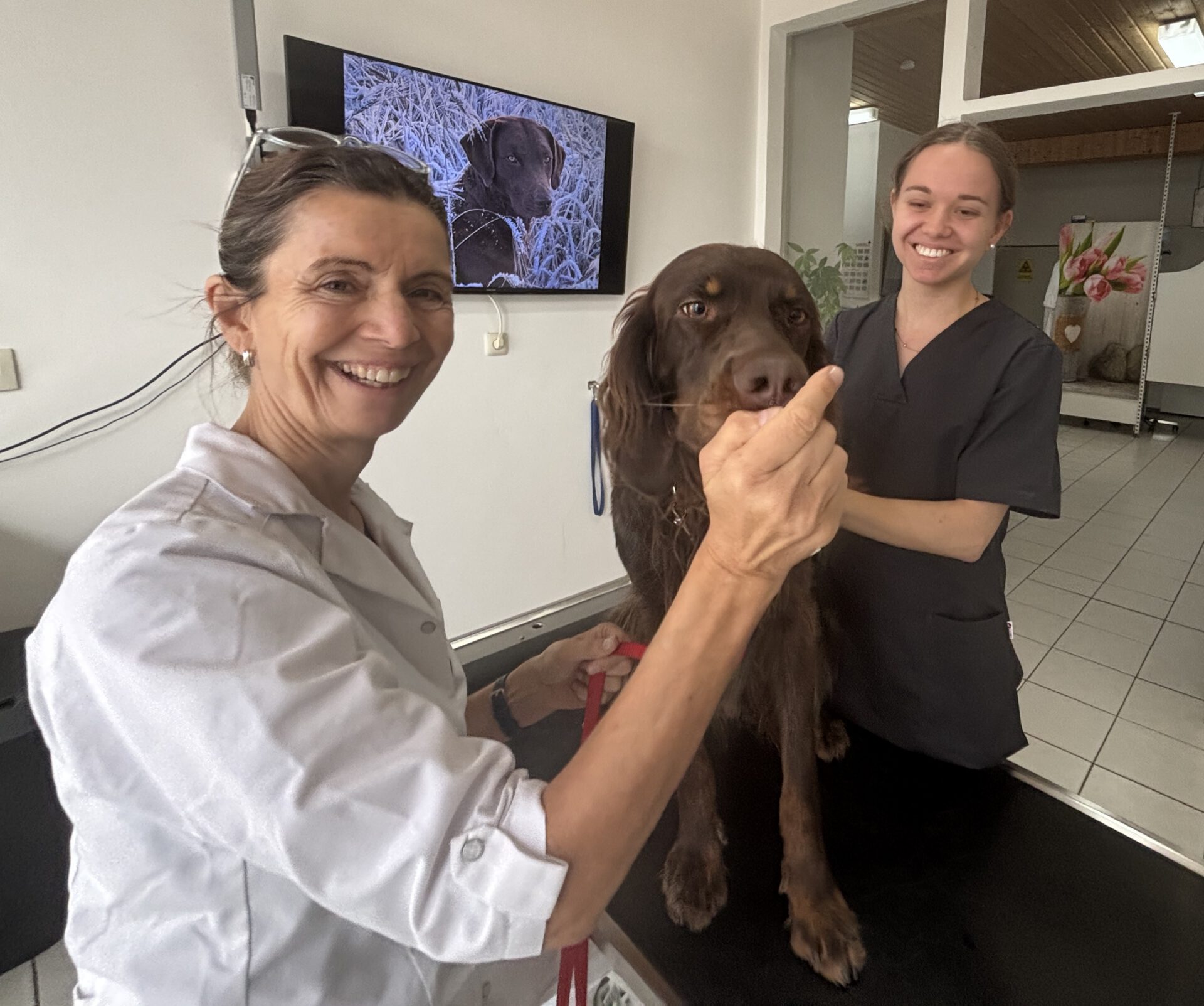 Tierärztin Dr. Angela Schäkel (links) mit ihrer Auszubildenden und einem tierischen Patienten. Foto: Jessica Höffner