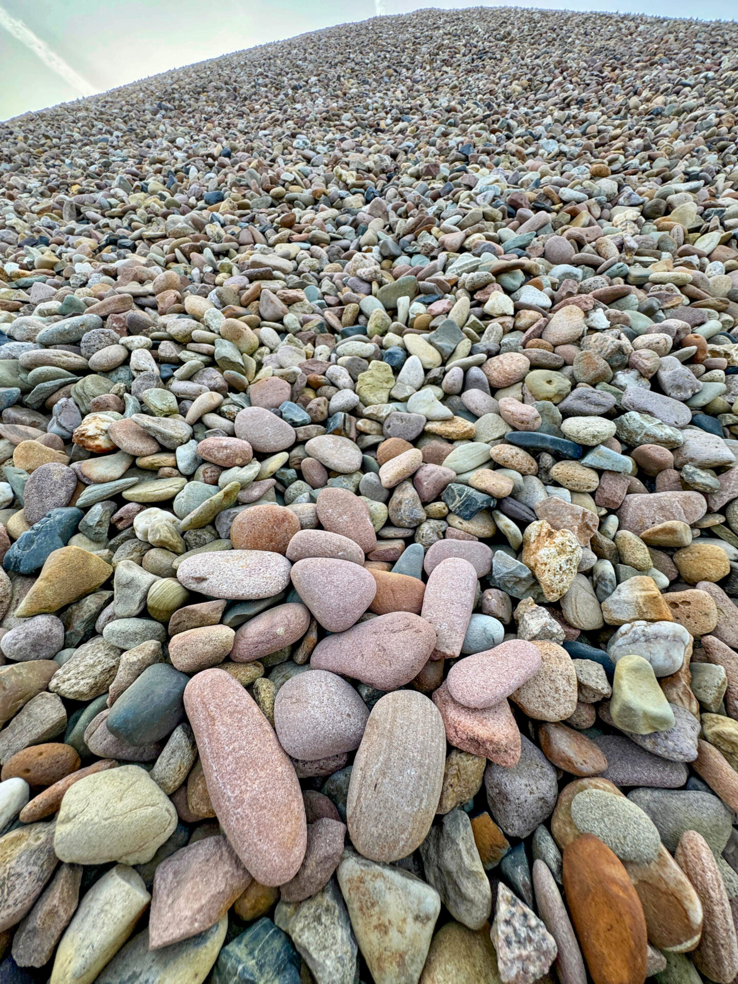 Auf den Kieshalden im Stadtgebiet von Petershagen und im nördlich anschließenden niedersächsischen Weserabschnitt dominiert ein Gesteinstyp mit rötlicher Färbung. Foto: Dr. Dietmar Meier