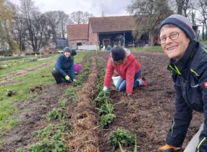Erster Feldtag 2026: Die zweite Vorsitzende Marieke Tode (links) und Kirsten Duffert (rechts) pflegen gemeinsam die Erdbeerbeete auf dem Gelände der Solawi Minden e.V. Foto: privat