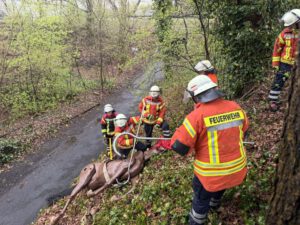 Rettung am Steilhang: Die Großtierattrappe wird mit Rettungsgurten und Leinen kontrolliert den Hang hinaufgezogen. Foto: Mathis Fullriede