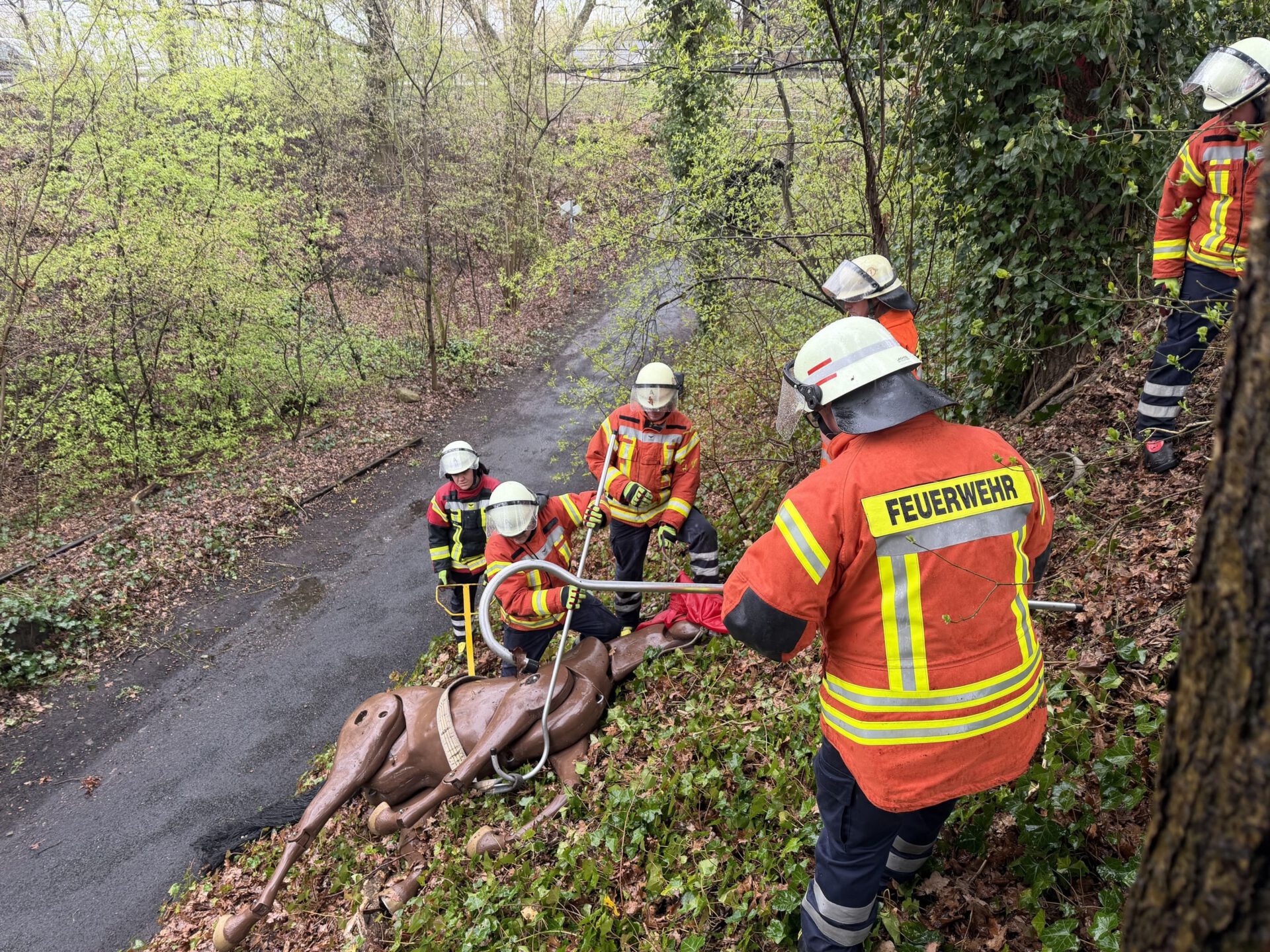 Rettung am Steilhang: Die Großtierattrappe wird mit Rettungsgurten und Leinen kontrolliert den Hang hinaufgezogen. Foto: Mathis Fullriede