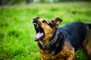 Symbolfoto AdobeStock