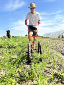 Ruwen Hennecke ist als Gärtner bei der Solawi Mindenerland angestellt.   Foto: Jessica Höffner