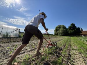 Ruwen Hennecke bei der Arbeit auf der Fläche der Solawi. Foto: Jessica Höffner