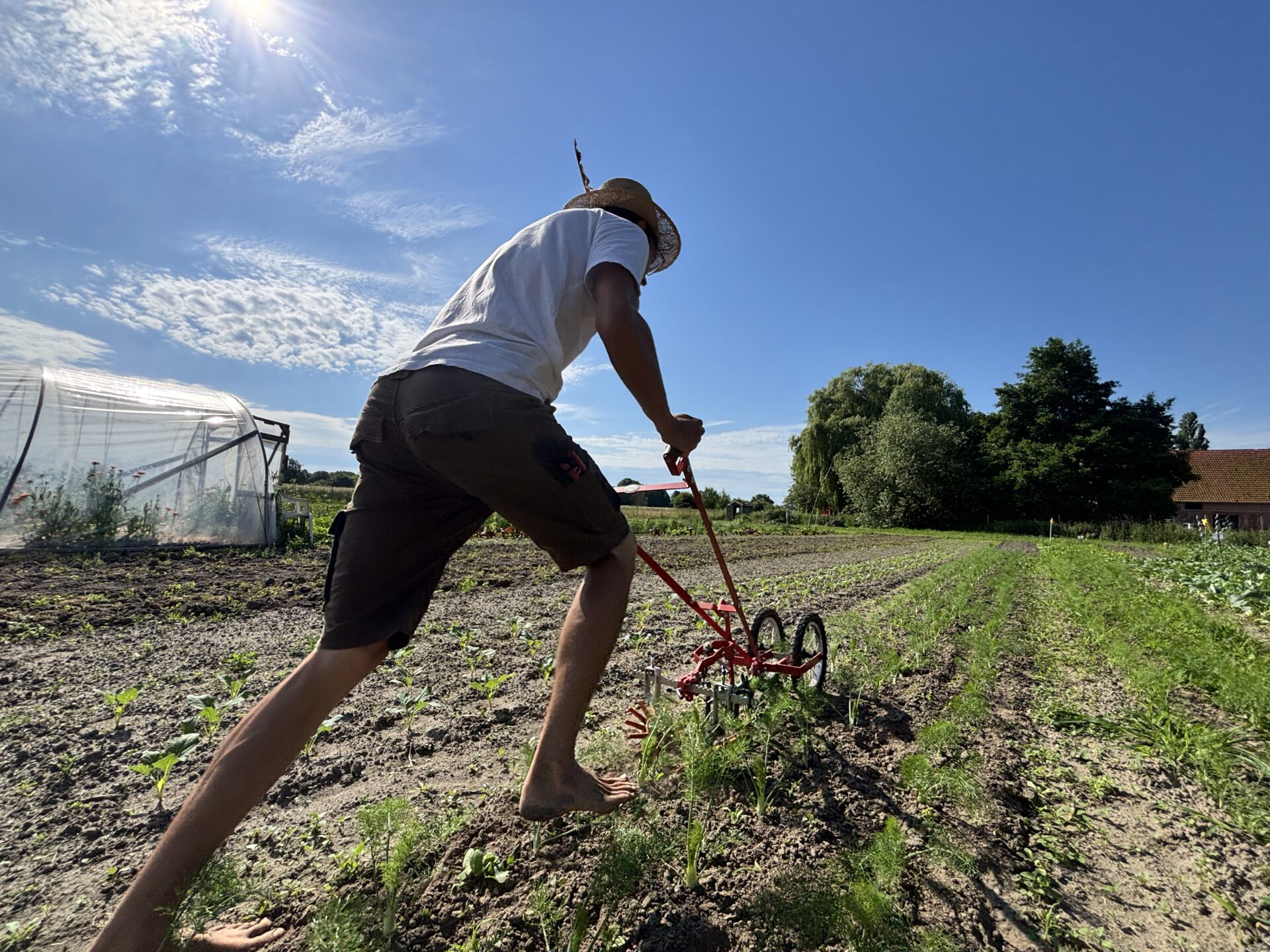 Ruwen Hennecke bei der Arbeit auf der Fläche der Solawi. Foto: Jessica Höffner