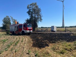In Wasserstraße gab es heute Mittag einen Flächenbrand. Foto: Feuerwehr Petershagen