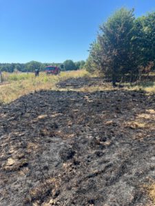 Rund 300 Quadratmeter haben gebrannt. Foto: Feuerwehr Petershagen