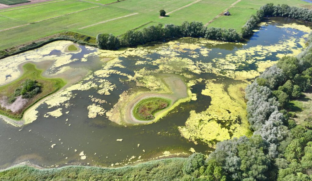 Bei der Grube Baltus handelt es sich um eine ehemalige Abgrabung, in der schon in den 1960er Jahren Kies und Sand abgebaut wurde.
